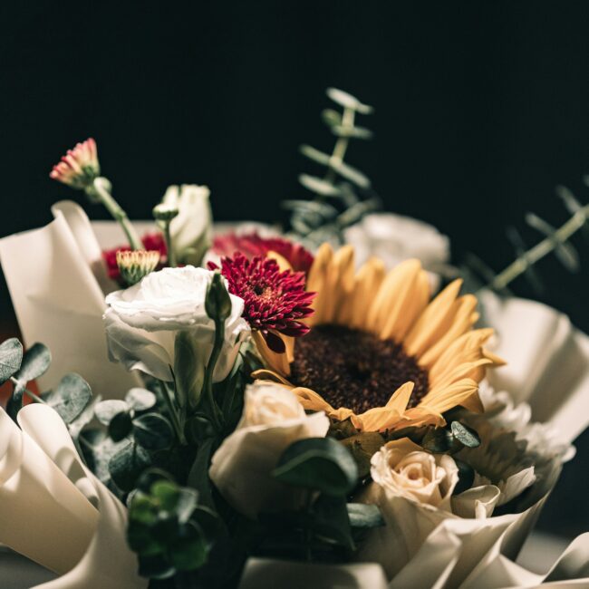 jiawei-zhao-Mq28-sZmRCY-unsplash