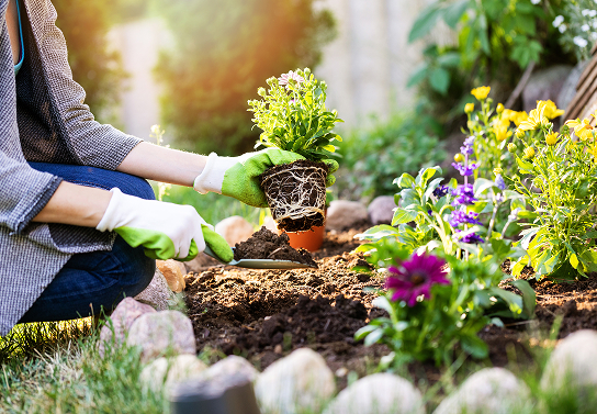 Anticiper le printemps