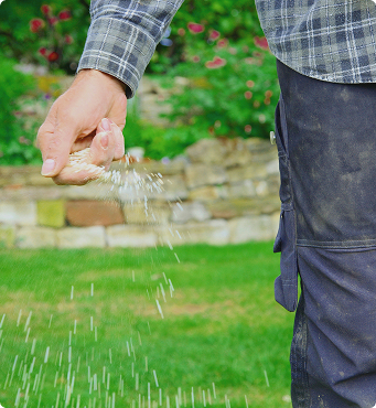 Booster le gazon avec un engrais adapté
