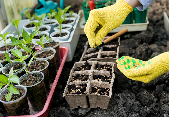 Démarrer la saison du bon pied