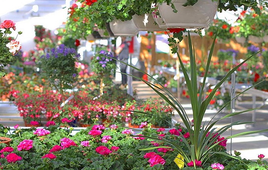 Être bien accompagné fait la différence