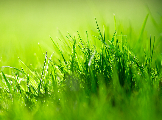 Les bonnes décisions se prennent maintenant