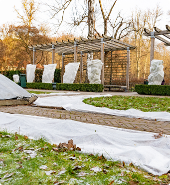 Protéger les plantes sensibles