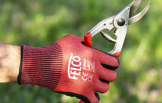 Travaux de taille le bon geste au bon moment