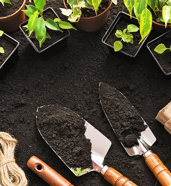 Vérifier le matériel et les aménagements