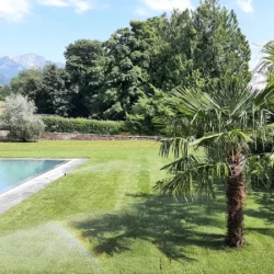 Conception & Réalisation de jardins - carrousel image 10