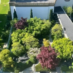 Galerie Interventions - Entretien de jardin Bronnimann - 2