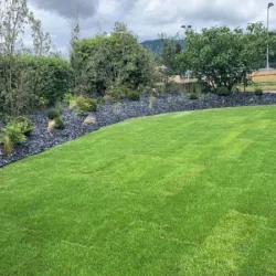 Galerie Interventions - Entretien de jardin Bronnimann - 3