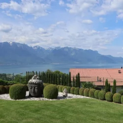 Galerie Interventions - Entretien de jardin Bronnimann - 5