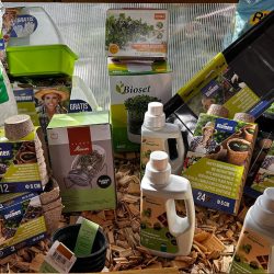 gamme-blumen-gardencentrenoville